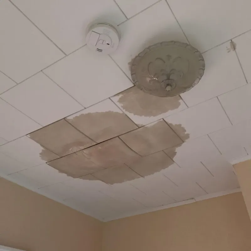 Ceiling Water Damage Repair in Newport, MN