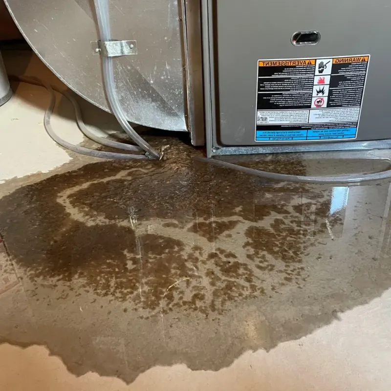 Pipe Burst and Leak Restoration in Newport, MN